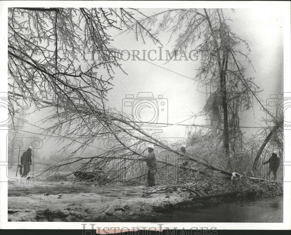 1977 Detroit Winter Storm Workers Trees Pow-Historic Images