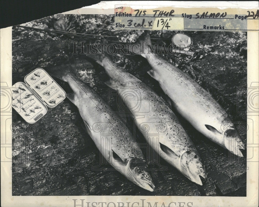 1949 Salmon Fishing - Historic Images