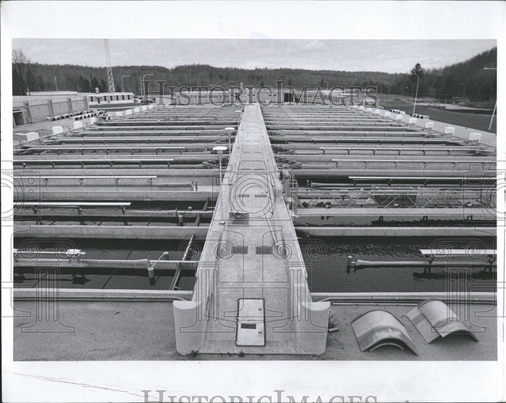 1978 Press Photo Michigan Salmon Hatchery Platte River- RSA07075 - Historic Images