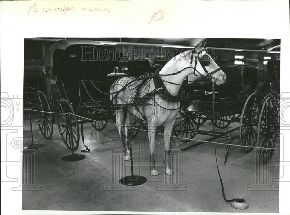 Single Horse Drawn Carriage - Historic Images