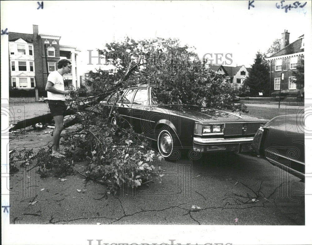 1984, A Tree Falls on the Car of David Corni- RSA07283 - Historic Images