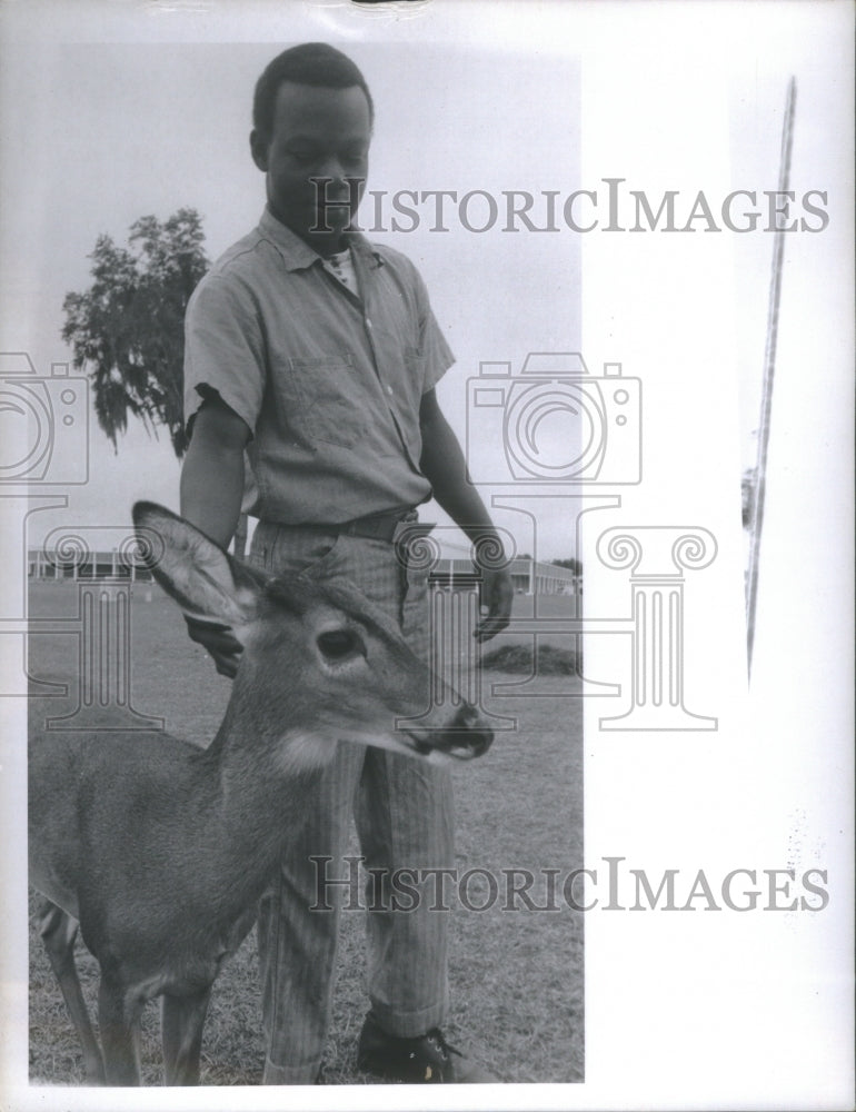 1971 Press Photo Pet Fawn Wanderer Sumter road Bob Hann- RSA11559 - Historic Images