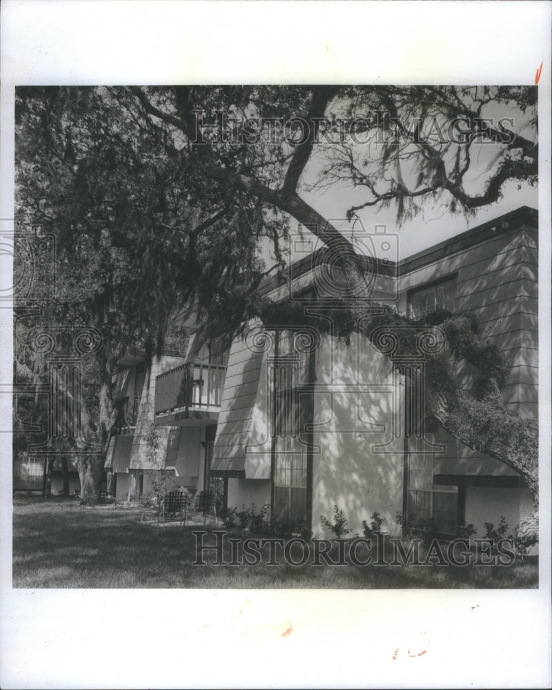 1974 Press Photo Brookwood Green Moss giant Oak tress s - Historic Images