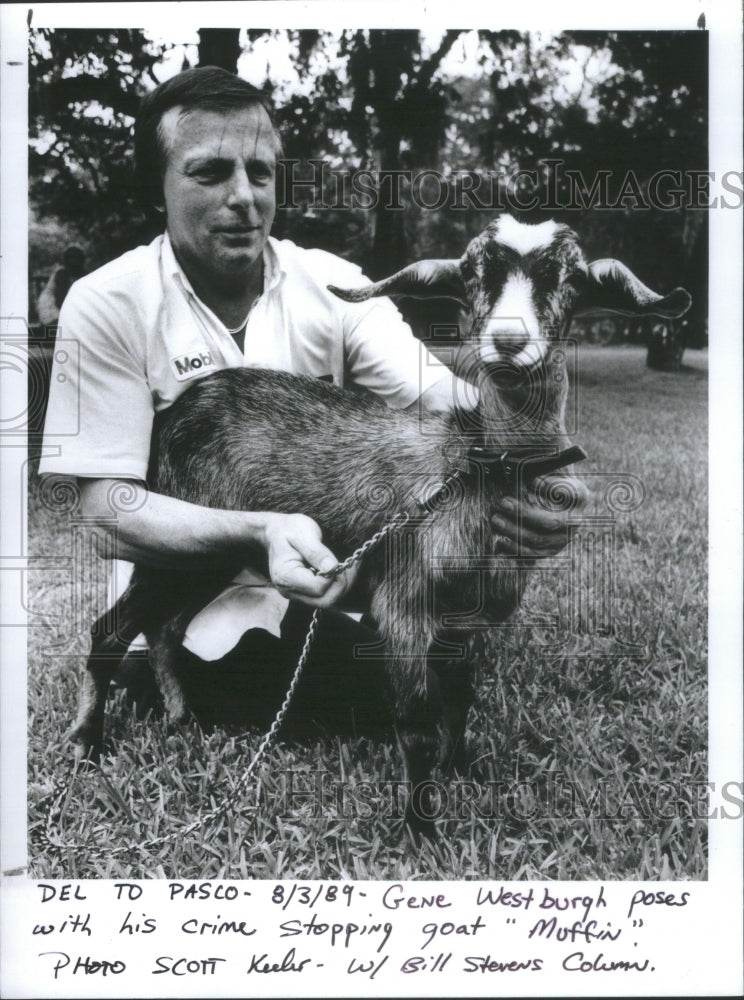 1989 Gene Wetsburgh With Goat Named Muffin - Historic Images