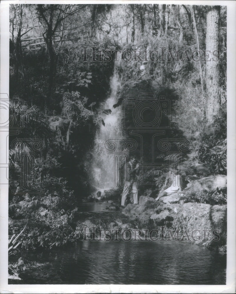 1969 Rainbow spring Water falls ter forest-Historic Images