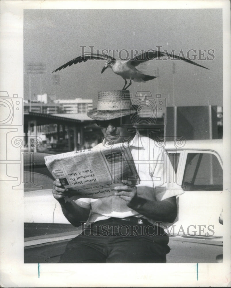 Person White Shirt Black Trouser Paper bird - Historic Images