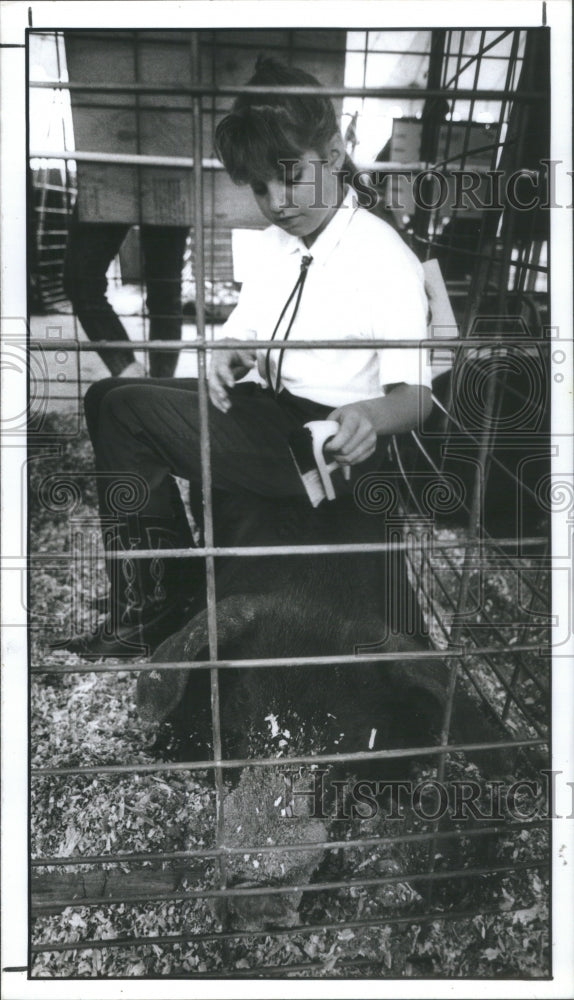 1988 Press Photo Lisa Galliher Grooming Her Hog, Guzzie - Historic Images