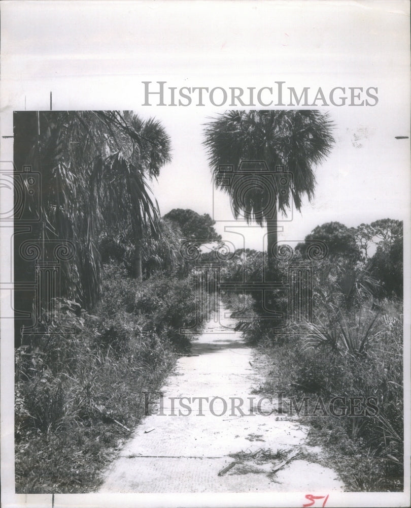 1957 Press Photo Sidewalk Fallen Into Disrepair- RSA11925 - Historic Images