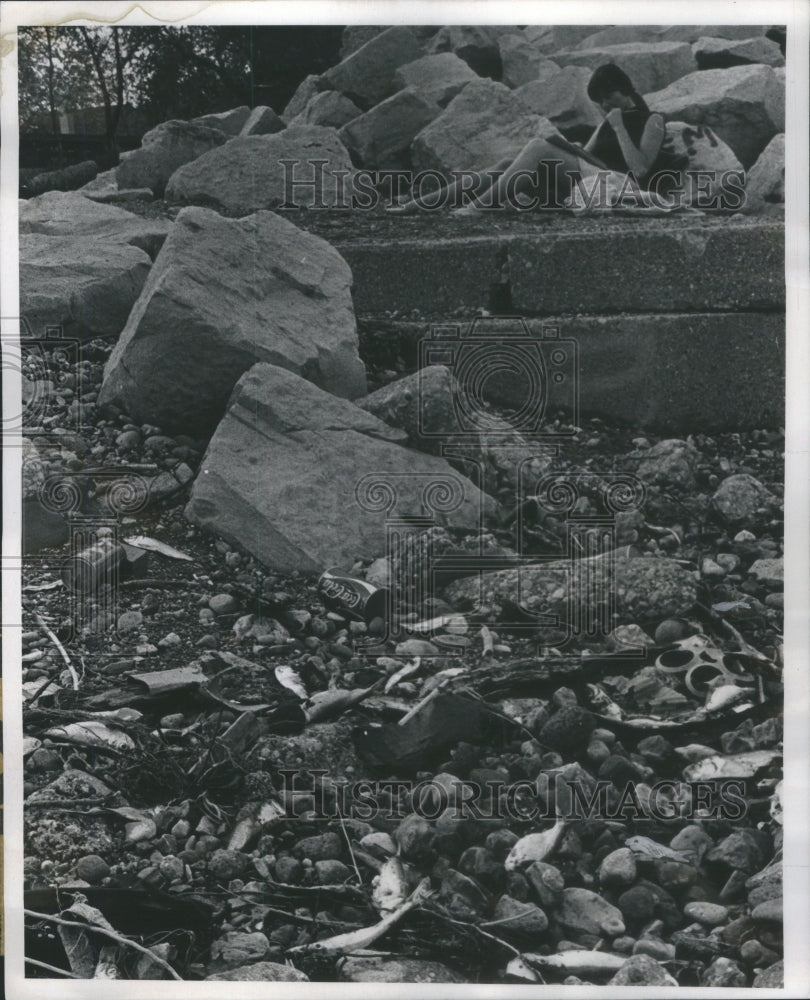 1970 Press Photo Alewives litter Lakefront Evasnton.you- RSA12771 - Historic Images