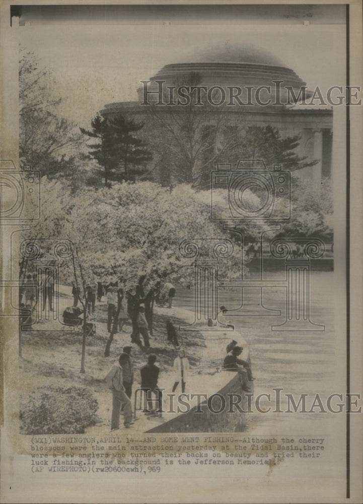 1969 Tidal Basin cherry blossoms fishing-Historic Images