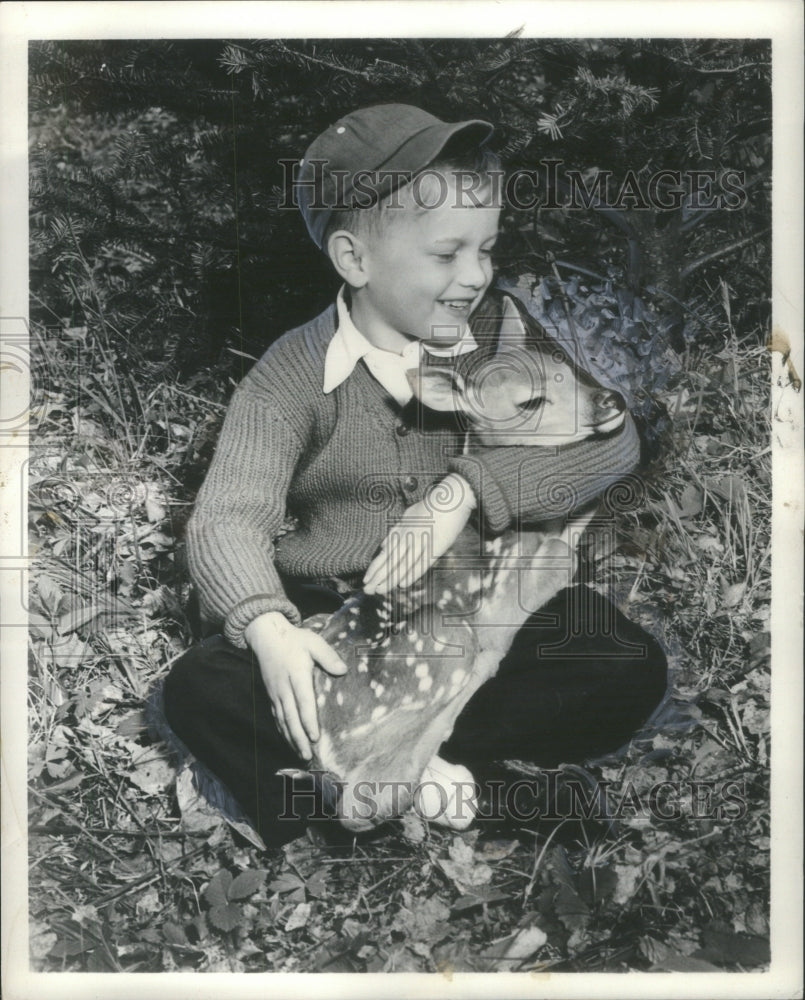 1958 Northern Michigan Fawn Tender Scene - Historic Images