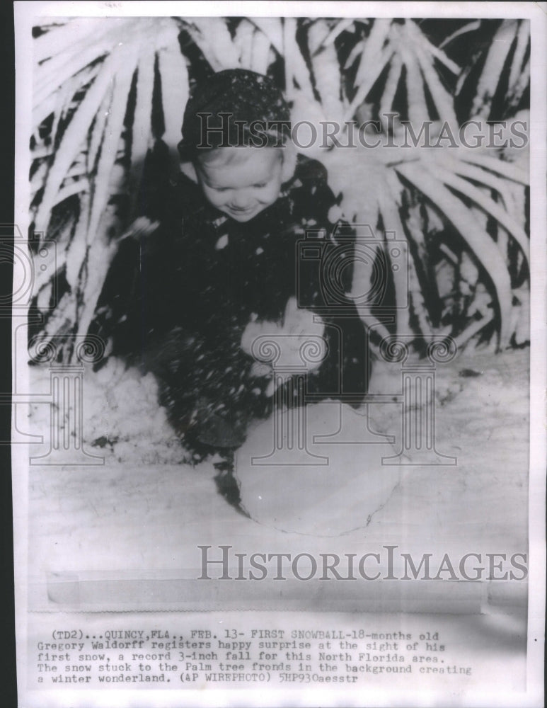 1984 First Snowball Gregory Waldorff Happy - Historic Images