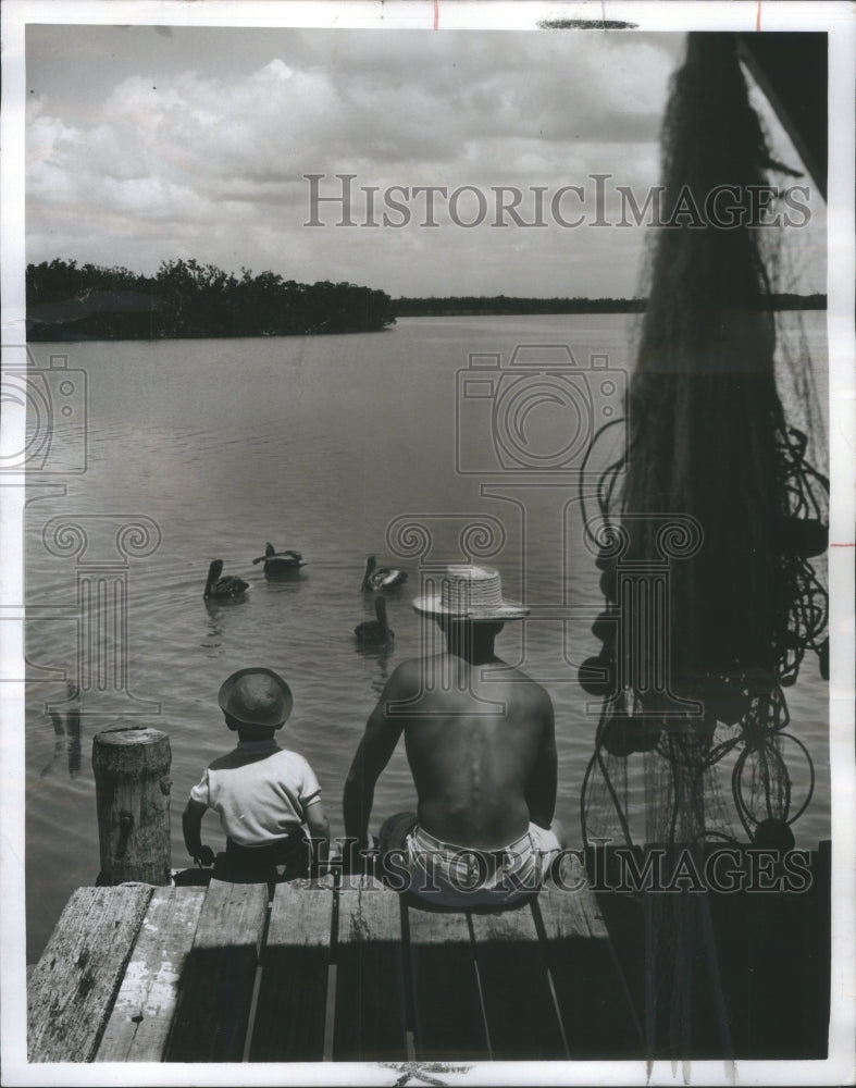 1967 Press Photo Vacationers Watching the Pelicans in F- RSA15987 - Historic Images