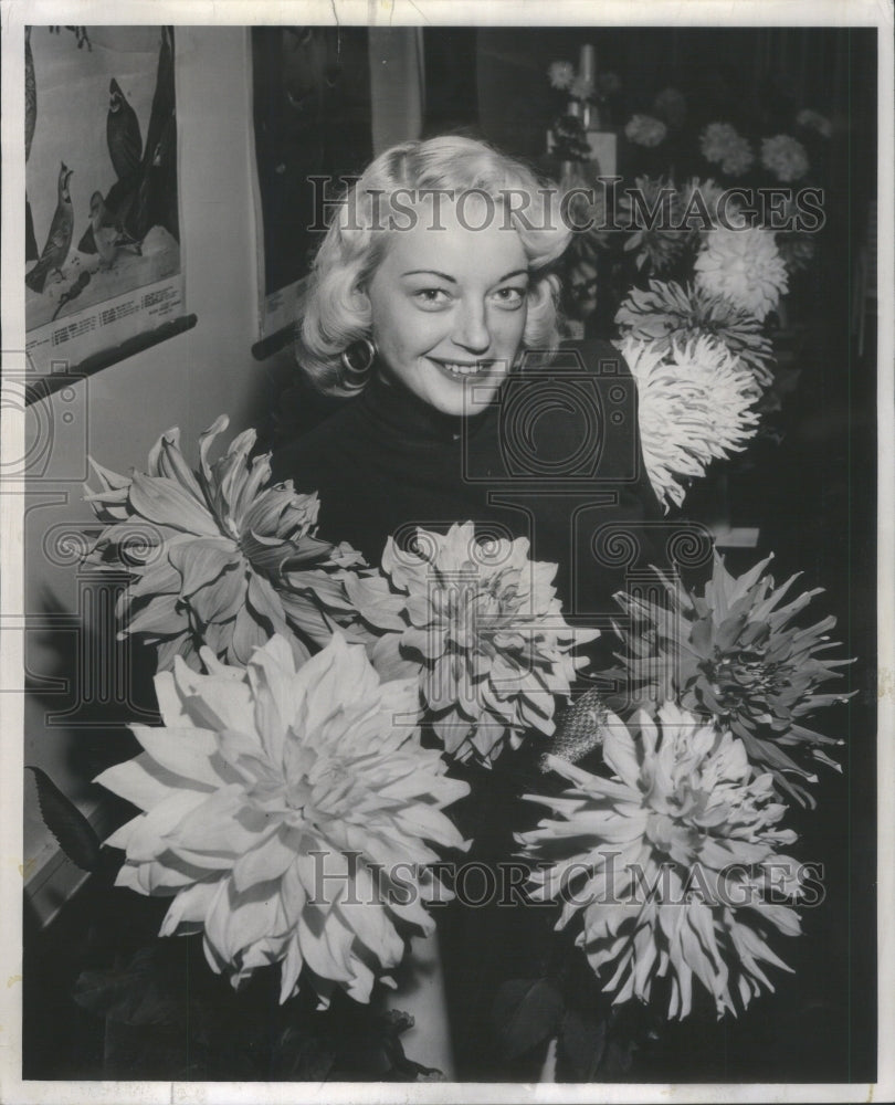 1953 Miss Bertie Engstrom Giant Dahlias Chi-Historic Images