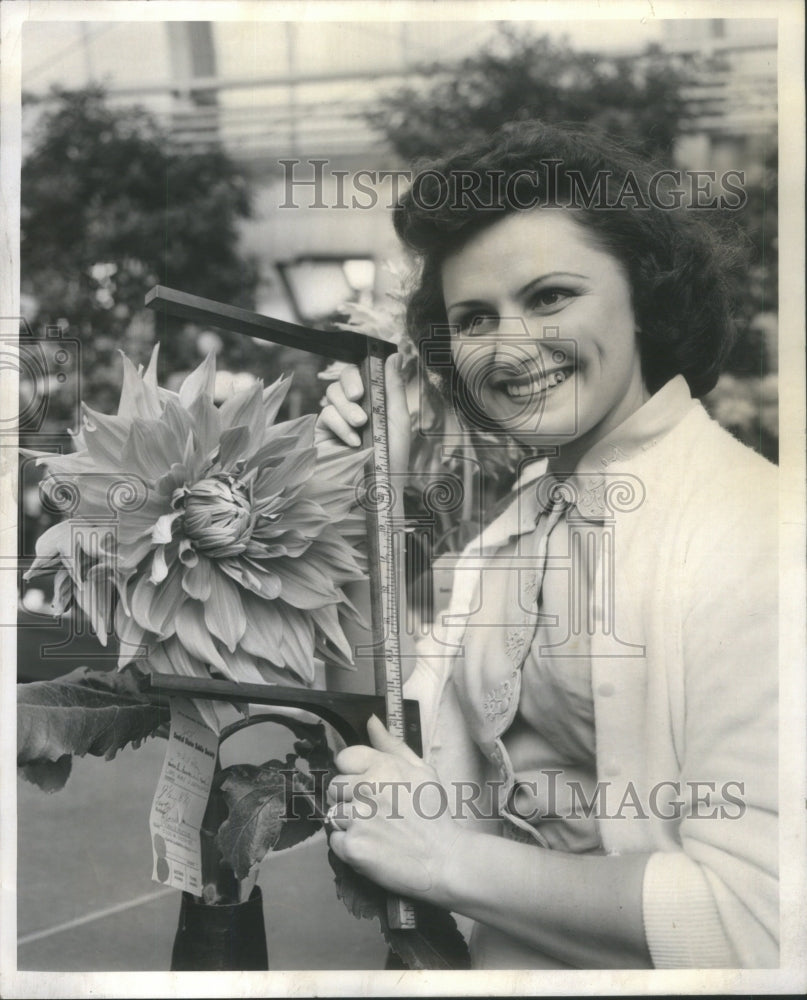 1957 Mary Ann Spinks Size&#39;s Up The Large Da-Historic Images