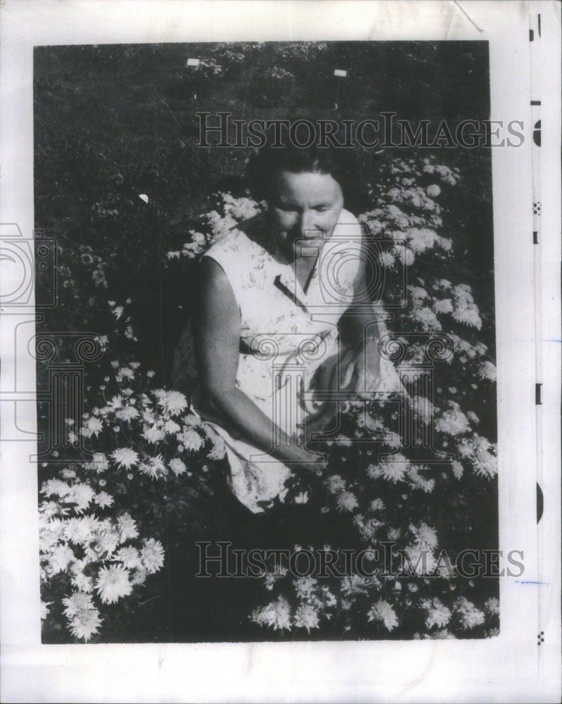 1970 Mrs. Margaret Thon Grows Chrysanthemum - Historic Images