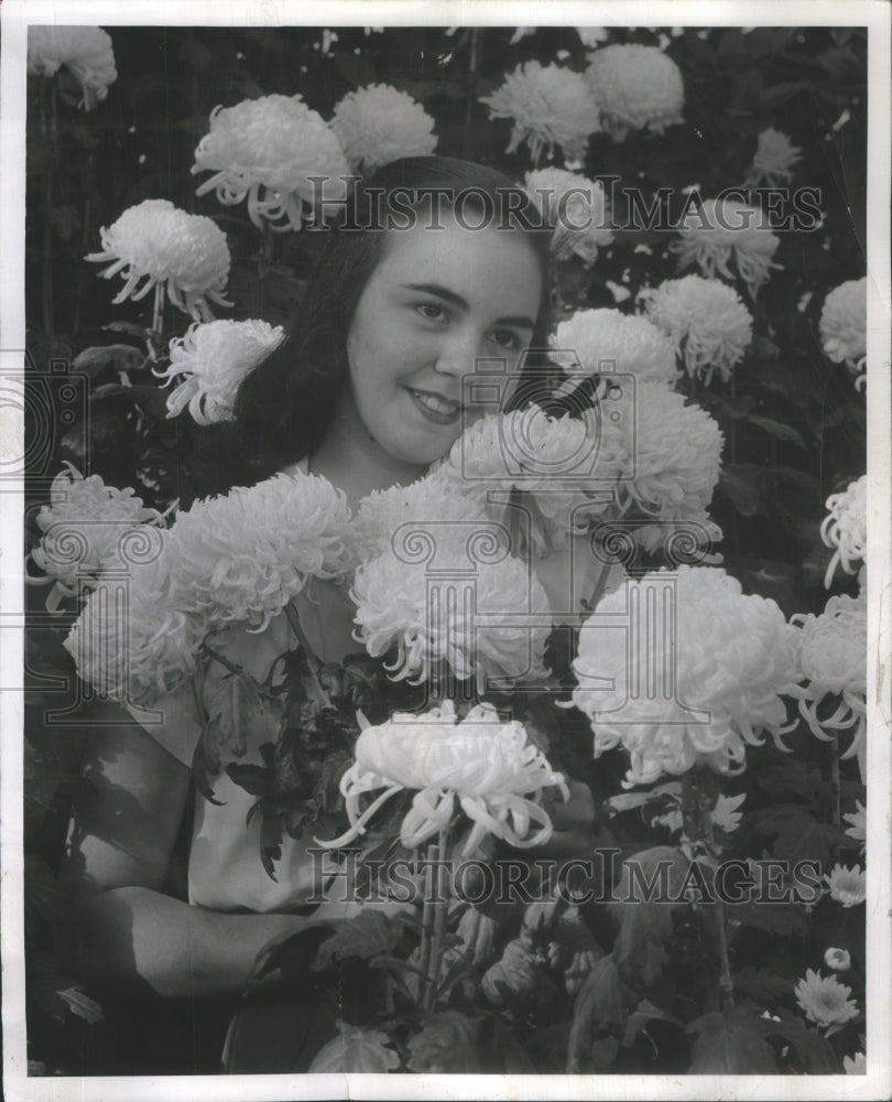 1952 Press Photo Queen Autumn flower Chrysanthemum Linc- RSA18781 - Historic Images