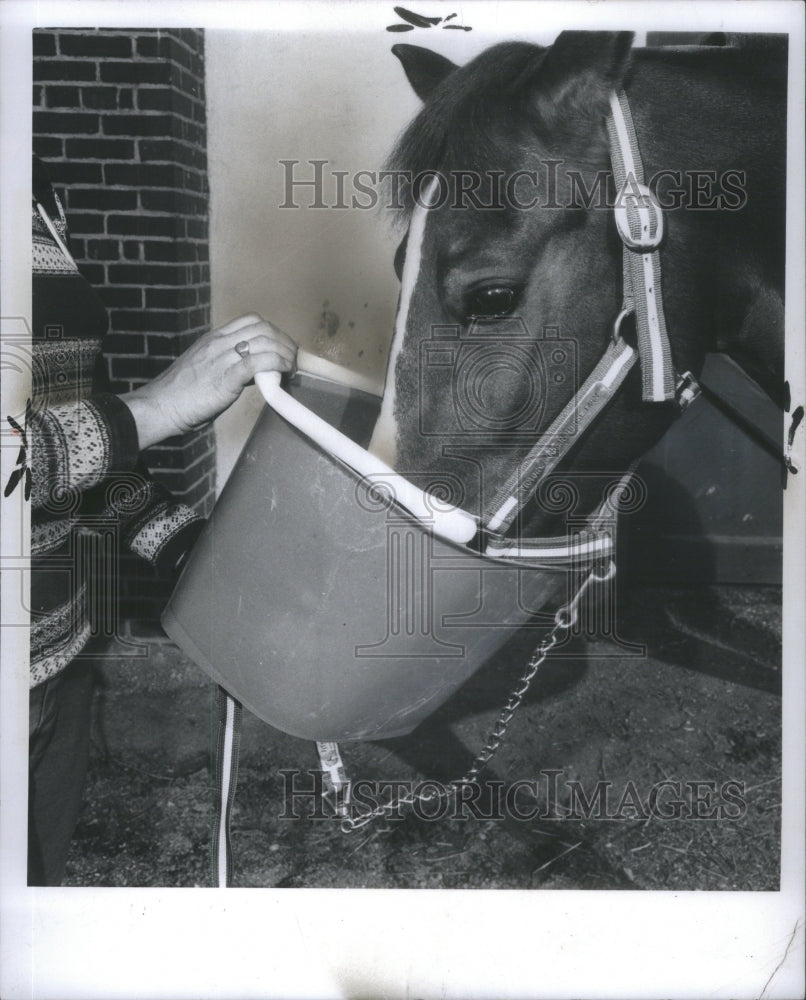 1973 Press Photo Care Horses Seminar State Fair Gardens- RSA19951 - Historic Images