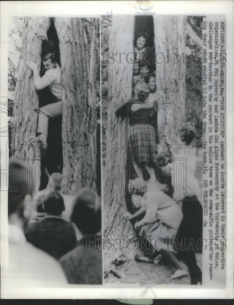 1961 Press Photo Tree Stuffing Contest Pi Phi Lambda Ch- RSA20697 - Historic Images