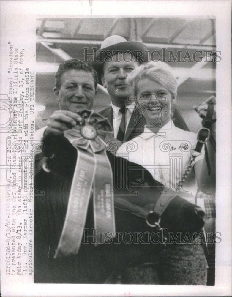 1966 Black Angus Grand Champion ribbon fair - Historic Images