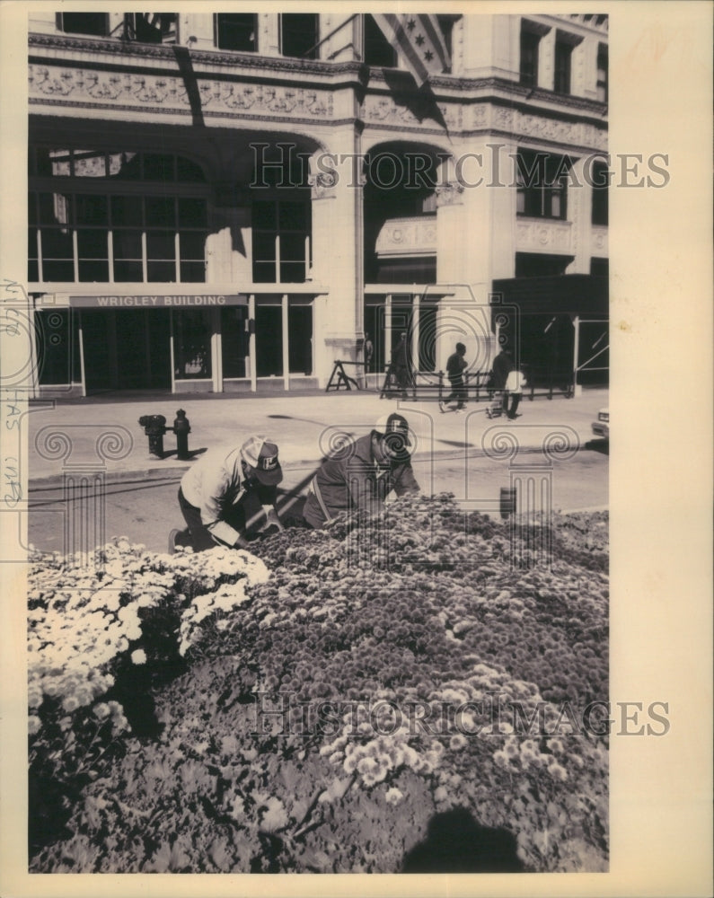 1993 Pedro Rodriguez Jesus Alnanis Chicago - Historic Images