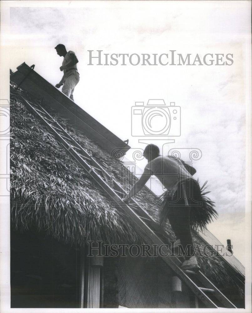 1966 Tom Higingbothan Escales Ladder Palm - Historic Images