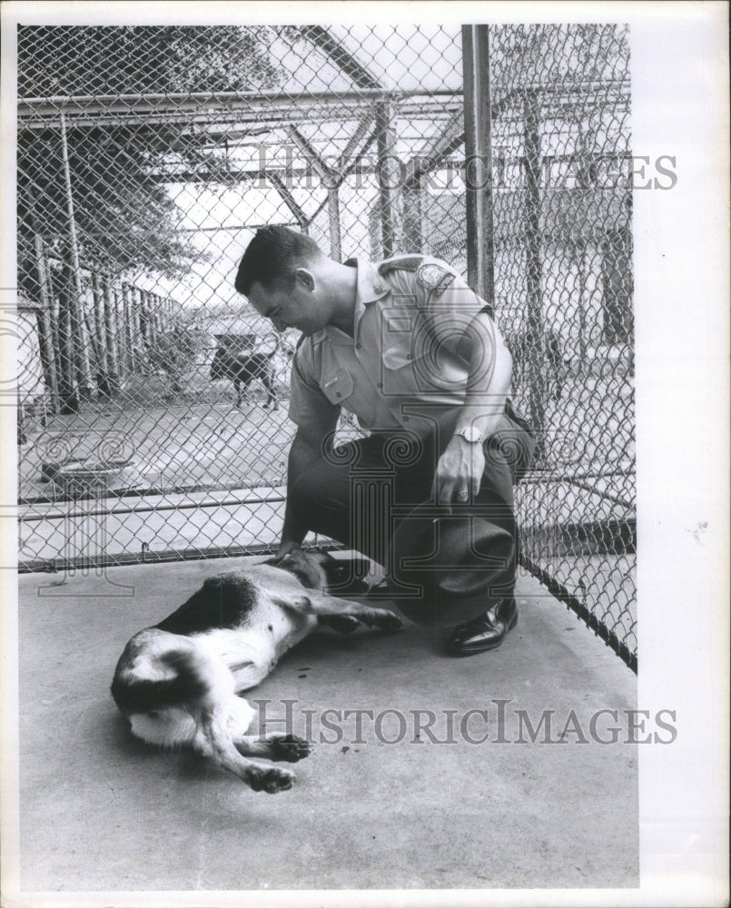 1966 Police prison training dog jail guard-Historic Images