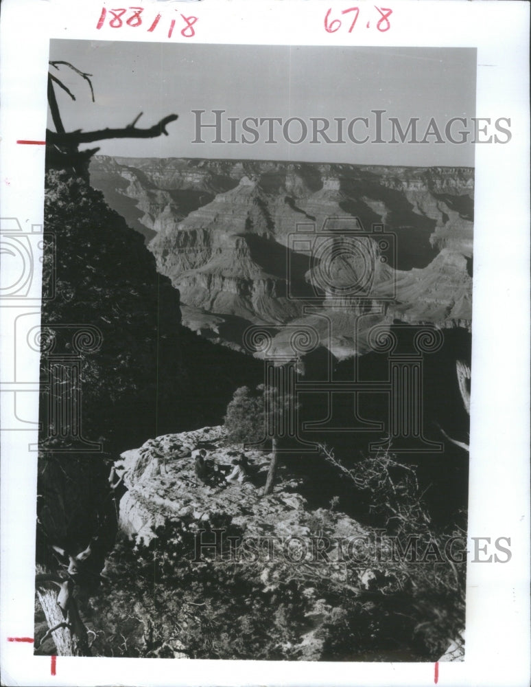 1981 Press Photo Natural Wonder Grand Canyon Gorge In N- RSA25357 - Historic Images