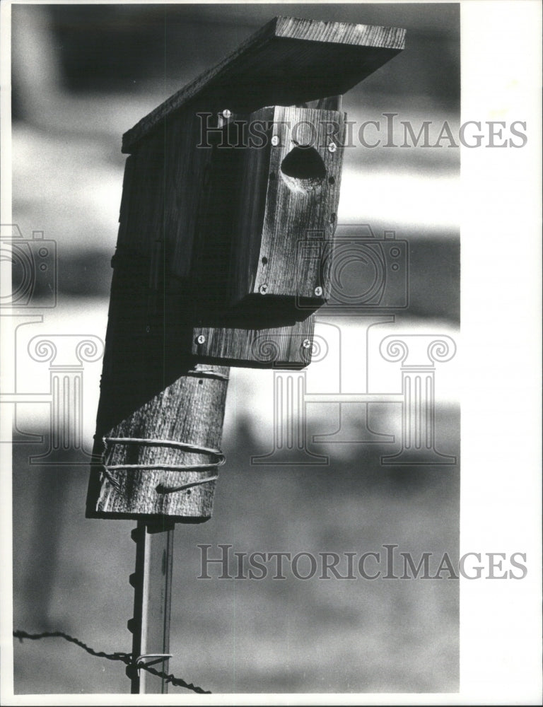 1987 One Of 400 Bird Houses Built By Bob Co-Historic Images