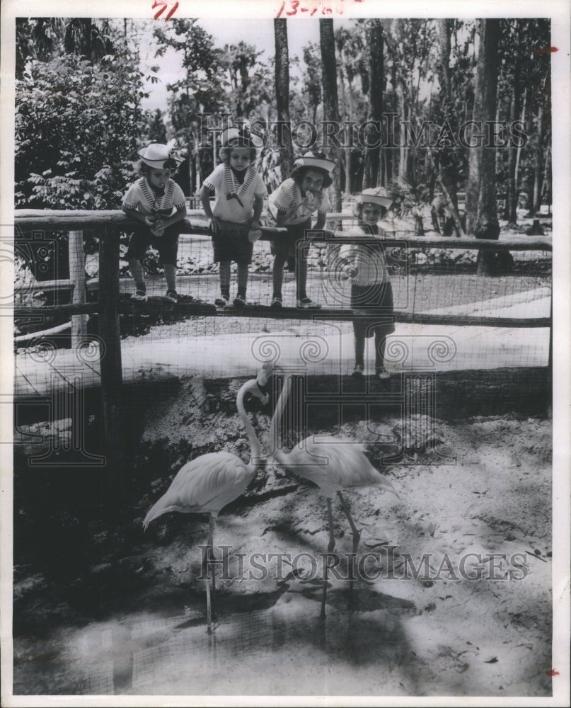 1967 Homosassa Springs Wildlife State Park - Historic Images