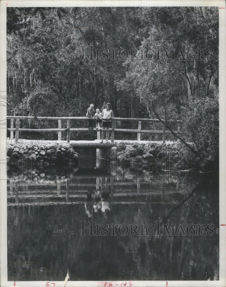 1966 Press Photo Homosassa Springs Wildlife State Park- RSA27745 - Historic Images