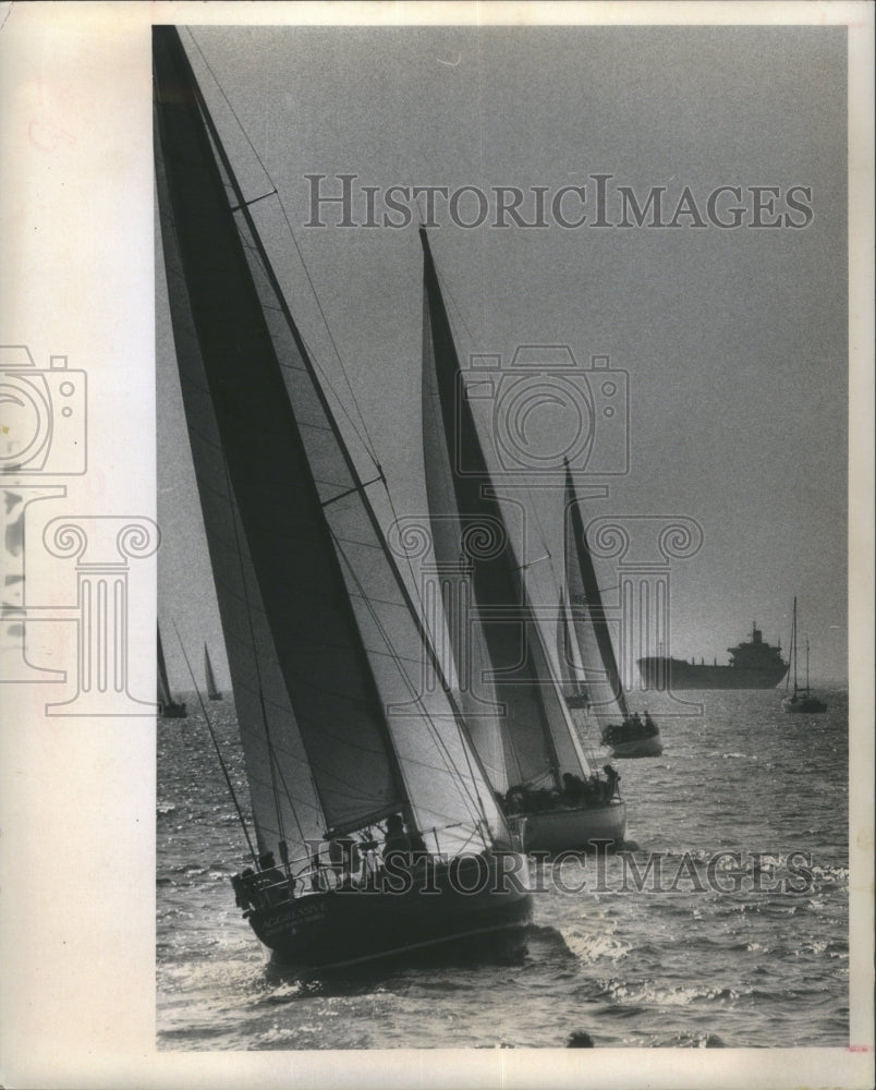 1973, Sailboats big hit High Seas Choreograp- RSA27889 - Historic Images