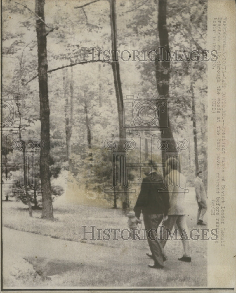 1973 Press Photo Richard Nixon, Leonid Brezhev Stroll C- RSA28117 - Historic Images