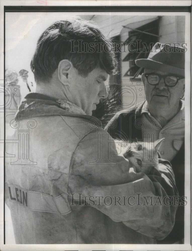 1972 Press Photo Clearwater Fireman Rescues Cat- RSA28231 - Historic Images