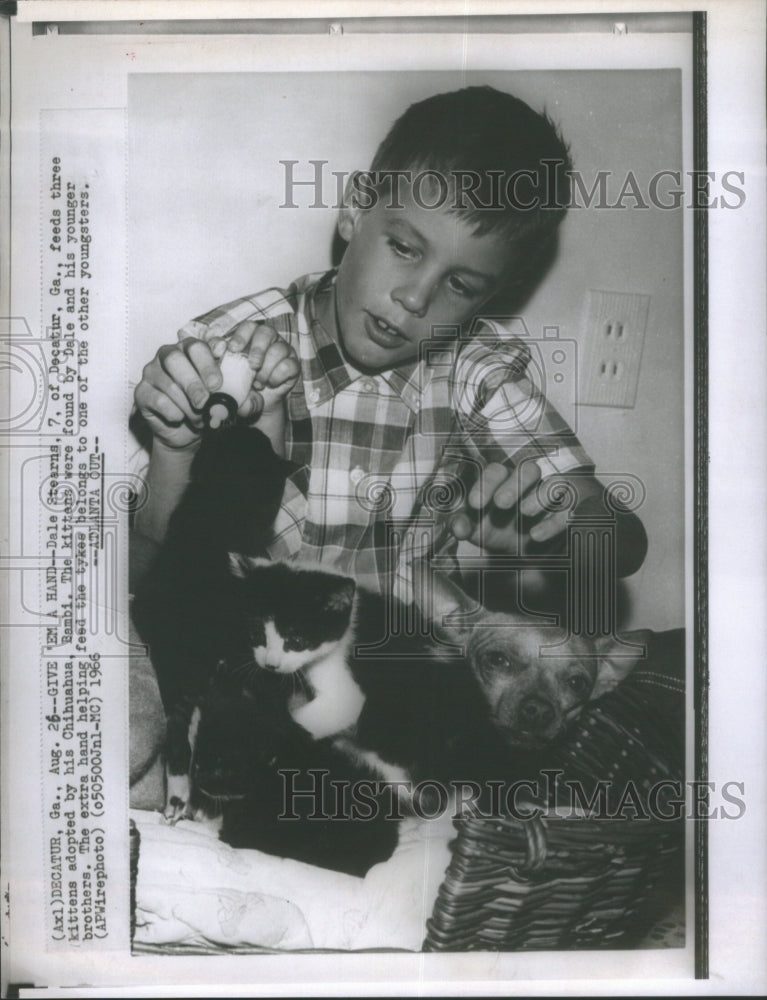 1966 Dale Stewards Feeds Kittens Adopted By-Historic Images