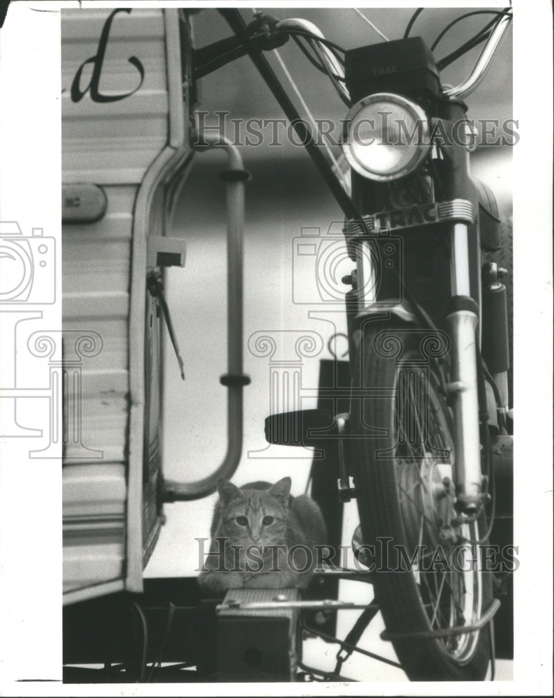 1987, Cat Camper Van North Shore Park St. Pe- RSA28267 - Historic Images