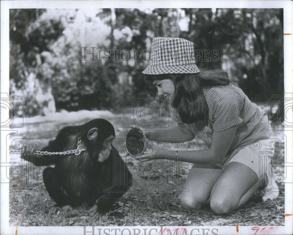 1968 Cindy, a chimpanzee and Gigi Griffin a - Historic Images