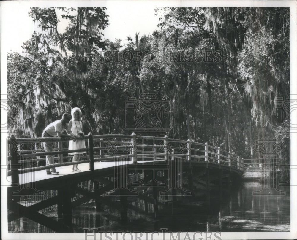 1965 Press Photo Rustic bridges Homasassa Sprogs waterw- RSA29159 - Historic Images