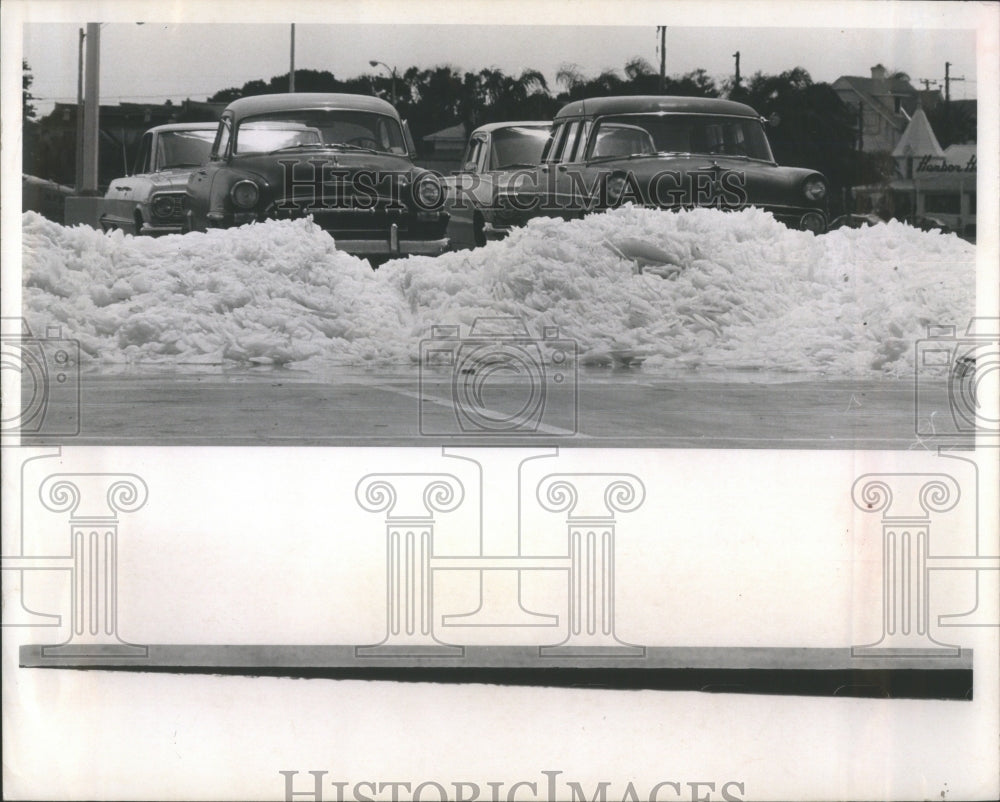 1965 Bayfornt Center Warms Witness Florida - Historic Images