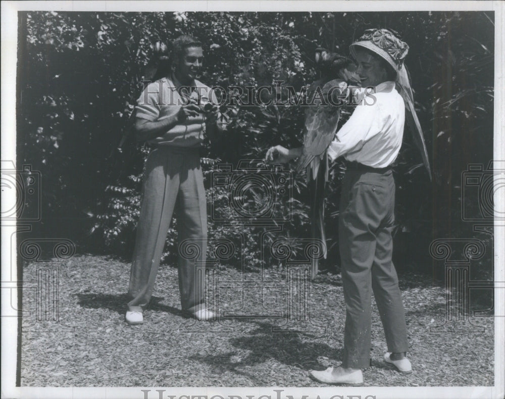 1965 Sunshine Tame Macaws summer Florida-Historic Images