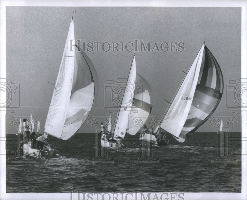 1982 Boat Race Suncoast Race Week - Historic Images