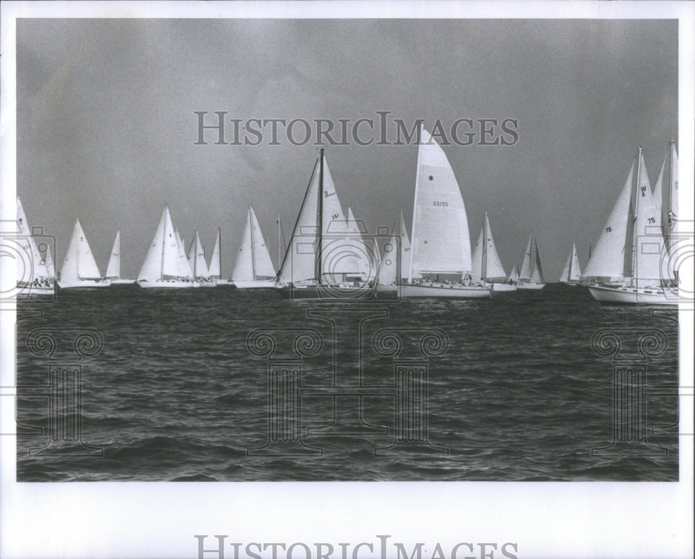 1982 Suncoast Race Gulf Hoff Tierra Verde - Historic Images