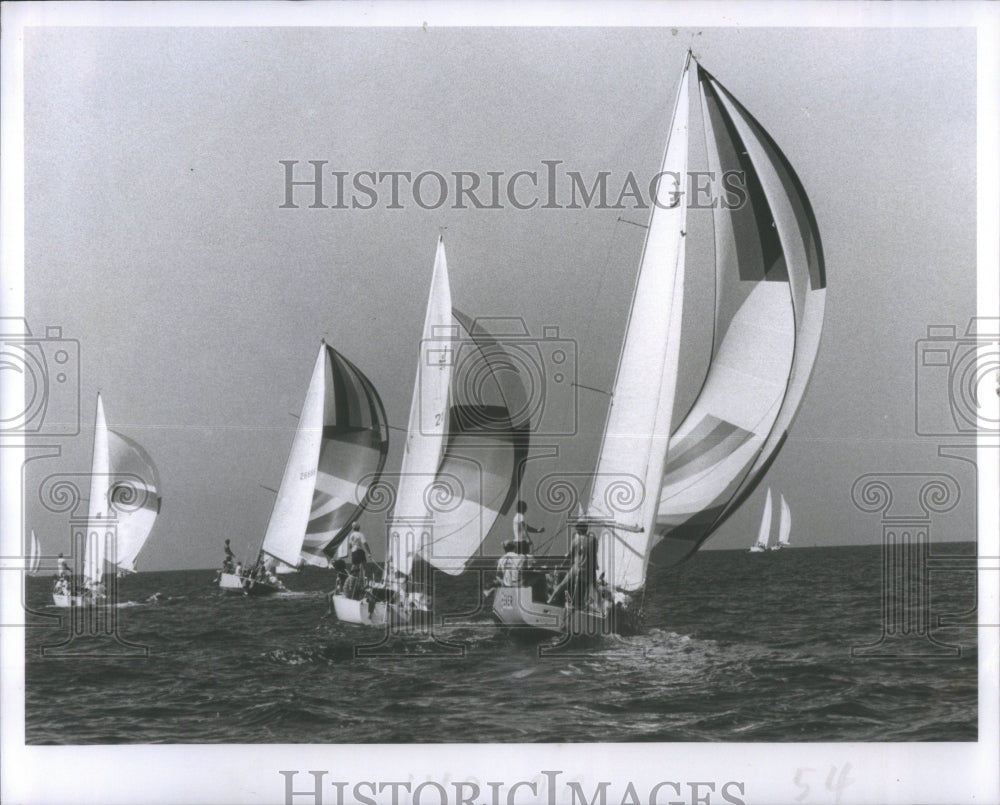 1982 Boat Race Suncoast Race Week - Historic Images