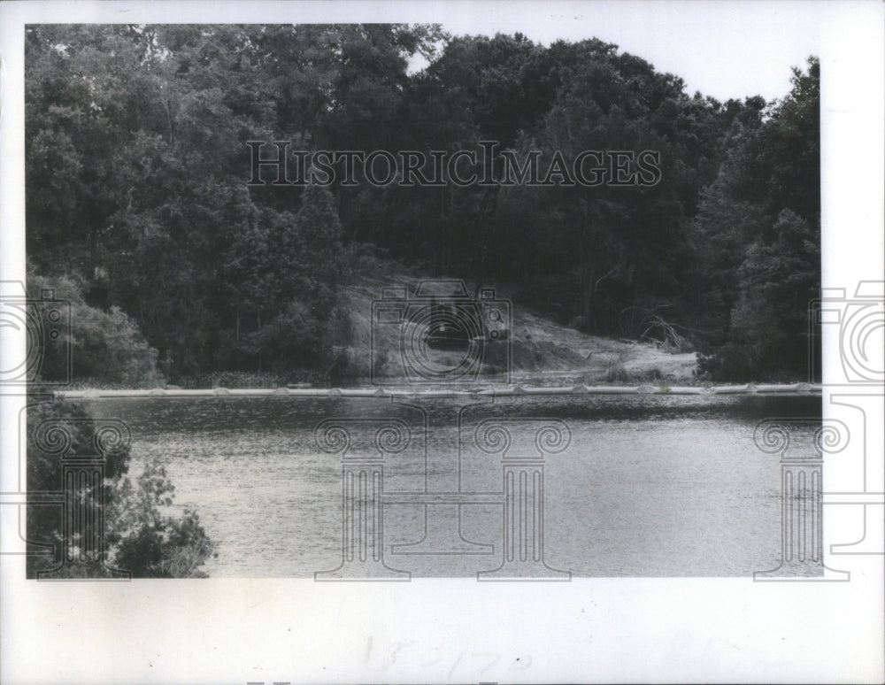 1978 Panamanians Big Ditch Citrus Spring - Historic Images