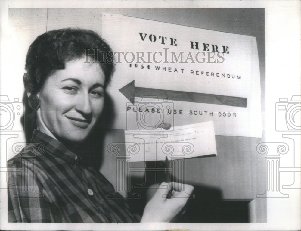 1963 Wheat Referendum Ballot Louise clerk - Historic Images