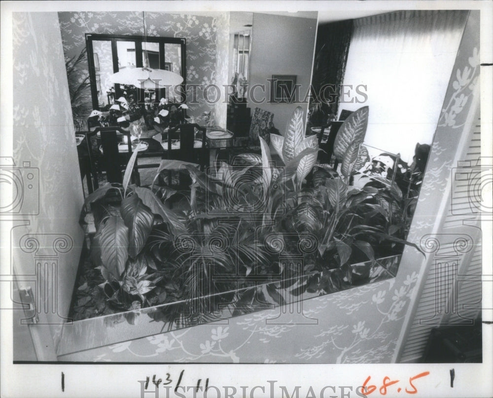 1979 Interior Design Mirrors Open Planter B - Historic Images