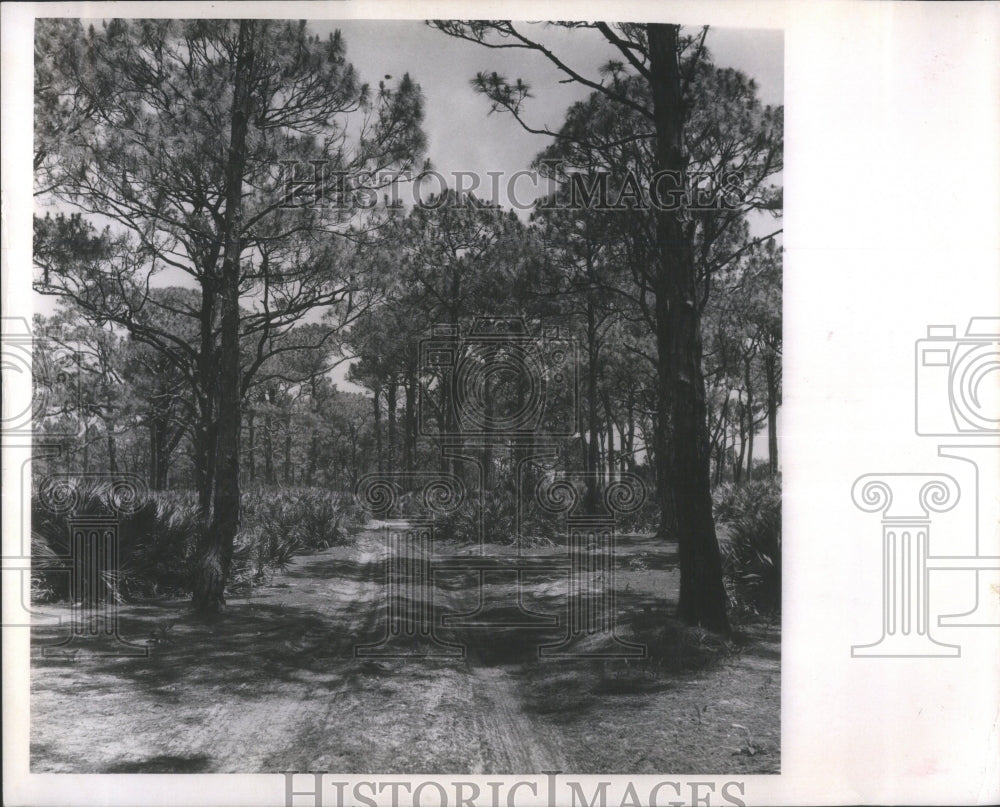 1965 Press Photo Police Vehicle Patrols Dunedin Beach D- RSA31209 - Historic Images