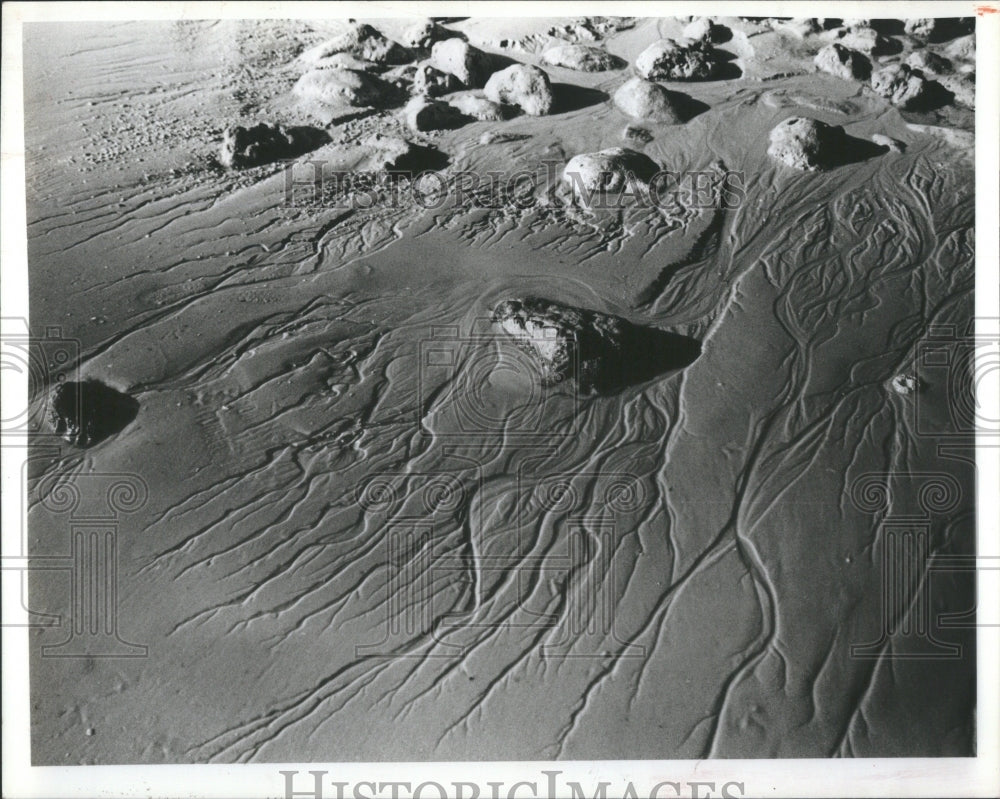 1980 Press Photo Dunedin Beach Rocks Sand - Historic Images