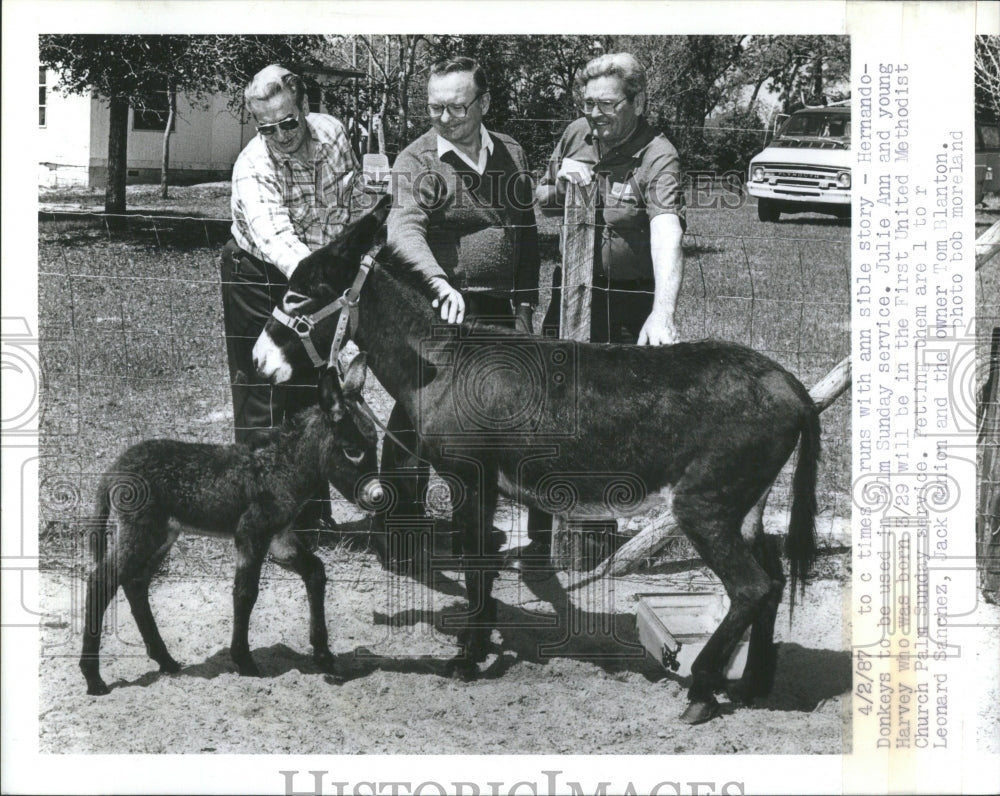 1987 Press Photo Julie Ann -Little Donkey Harvey -Pette - Historic Images