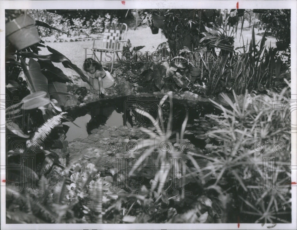 1955 Pool Aquatic Plants Darlene Rae Mounta - Historic Images